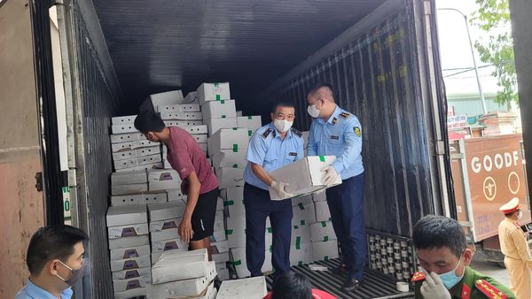 Hà Nội: Phát hiện 10 tấn nội tạng đông lạnh đã bốc mùi hôi thối